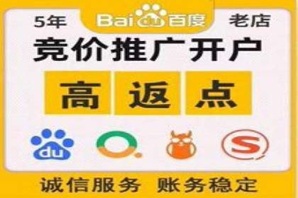 SEM服务优势案例分享